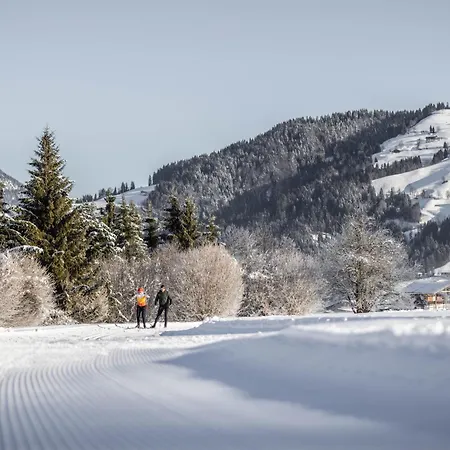 Apartamento Brixental Hopfgarten By Alps