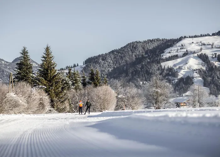 Апартаменты Brixental Hopfgarten By Alps